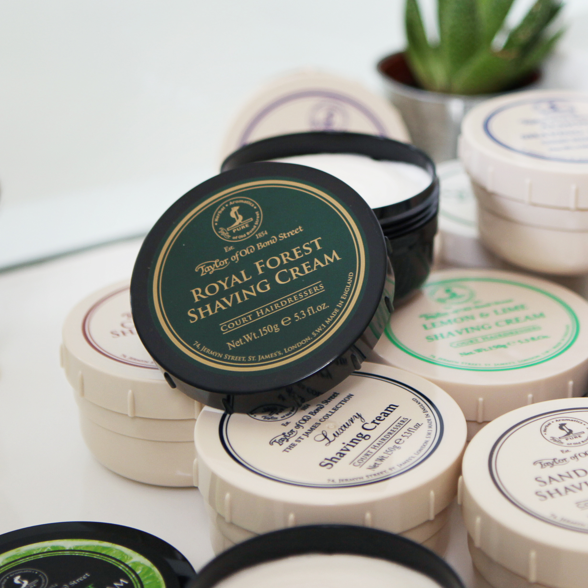 Taylor of Old Bond Street Royal Forest Shaving Cream 